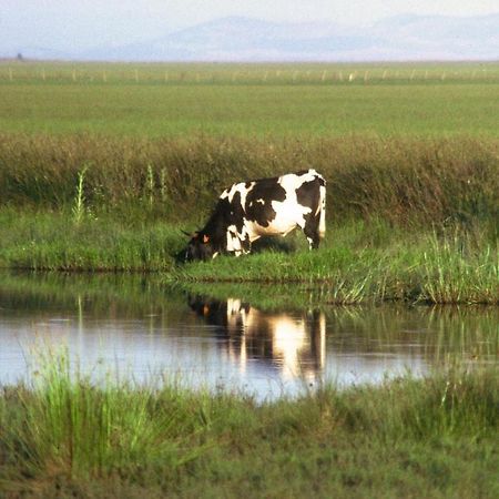 Alojamiento Tartessos Affittacamere Villamanrique De La Condesa Esterno foto